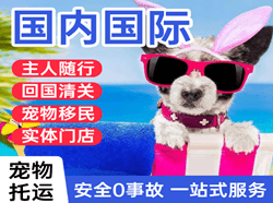 达州金垭机场货运国际宠物托运 【国